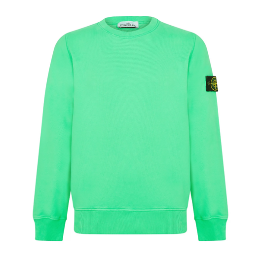 STONE ISLAND CREW NECK SWEATER IN GREEN