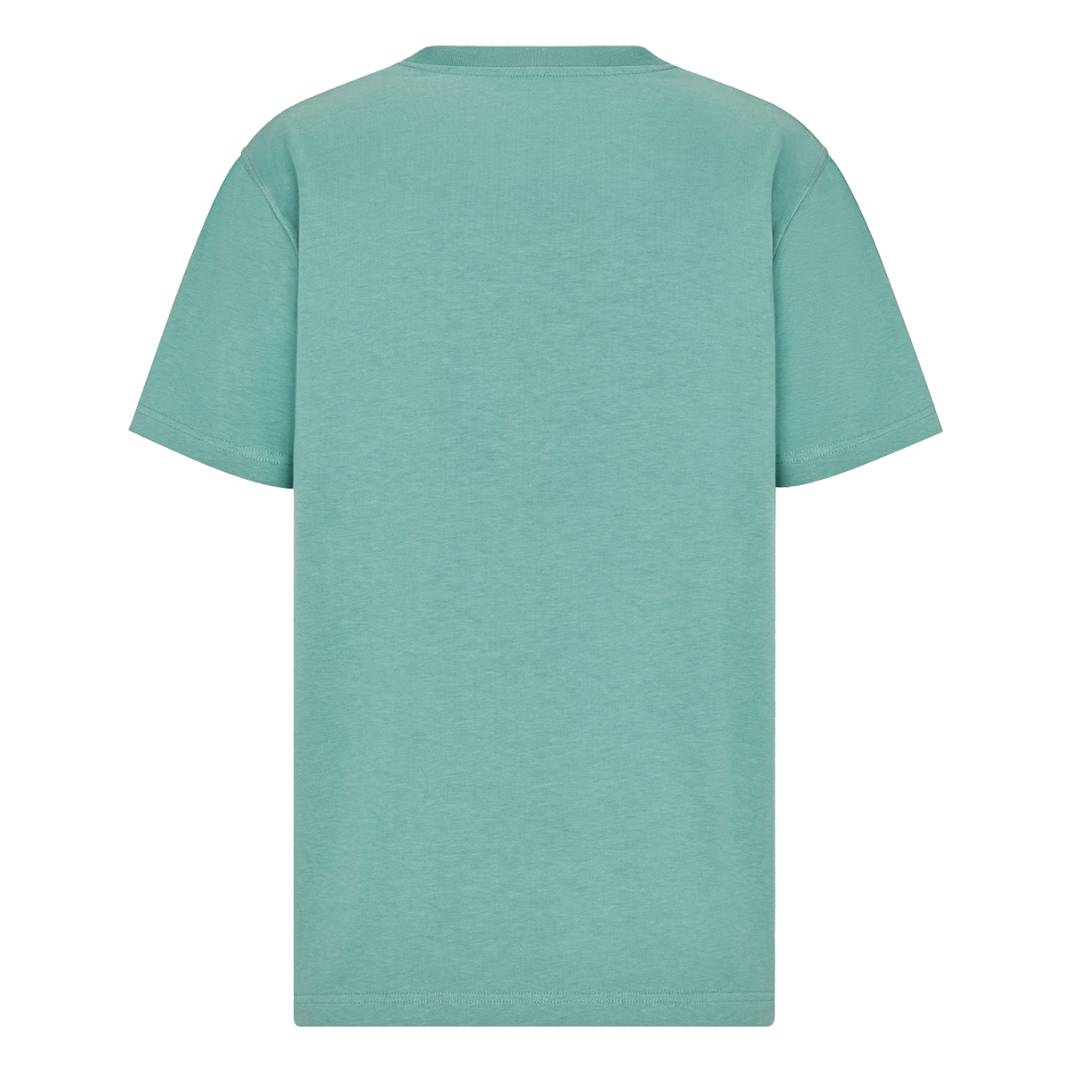 DIOR CD ICON RELAXED FIT T-SHIRT IN SEA GREEN