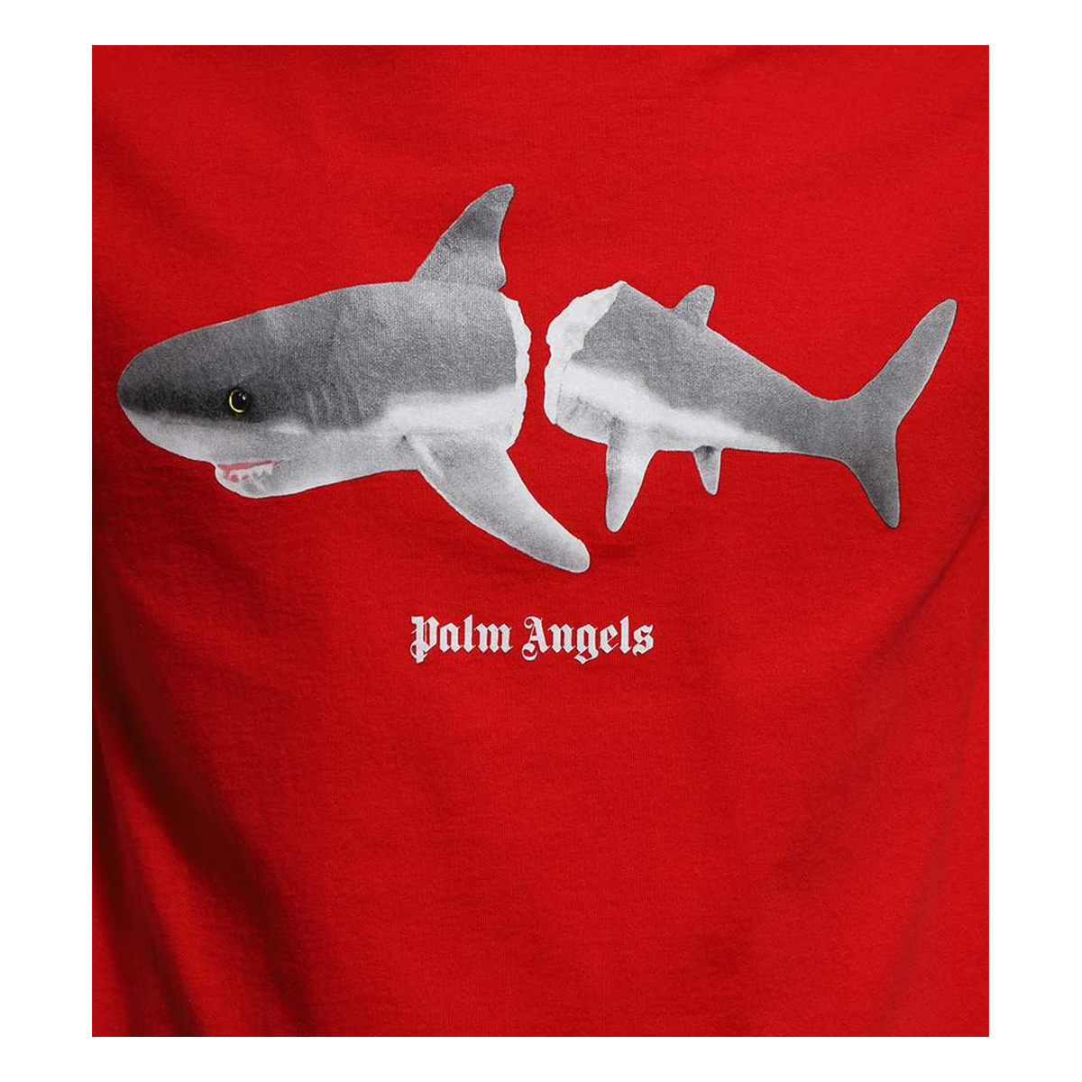 PALM ANGELS SHARK CLASSIC T-SHIRT IN RED